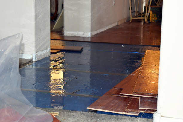 Professional Crawl Space Water Removal technician working in Dennis, MA